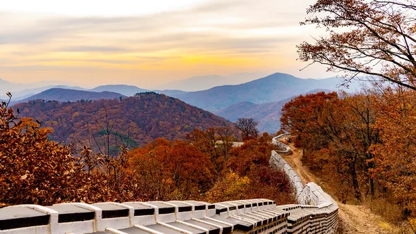 2026 JUST RUN10 성남 10K 러닝